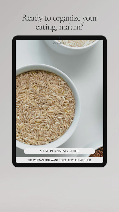 MEAL PLANNING GUIDE x PORTRAIT